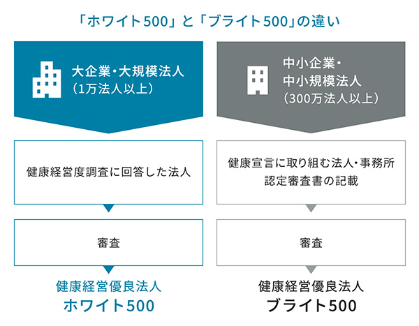 「ホワイト500」と「ブライト500」の違いの図