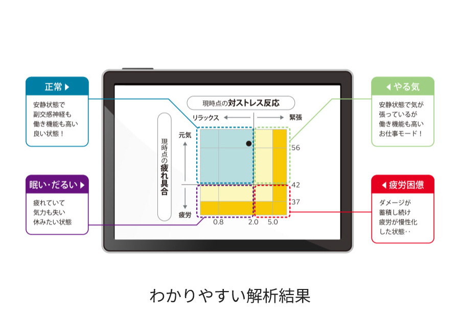 測定結果の画像。わかりやすい解析結果
