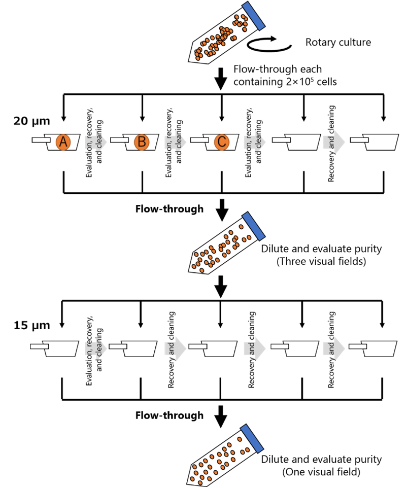Figure 1:CELLNETTAoperationprocedure