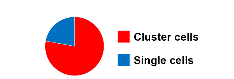 Cluster cells, Single cells