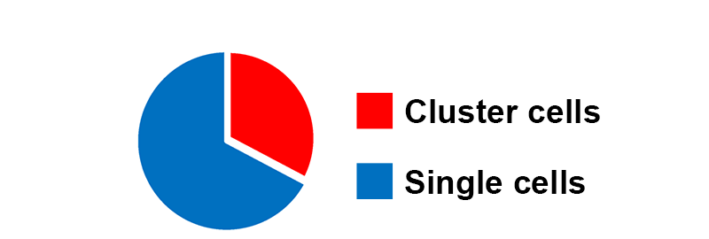 Cluster cells, Single cells