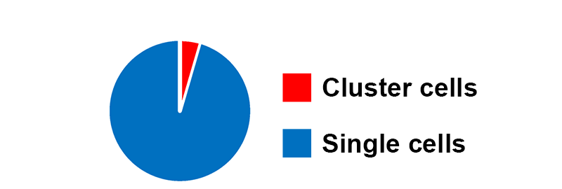 Cluster cells, Single cells