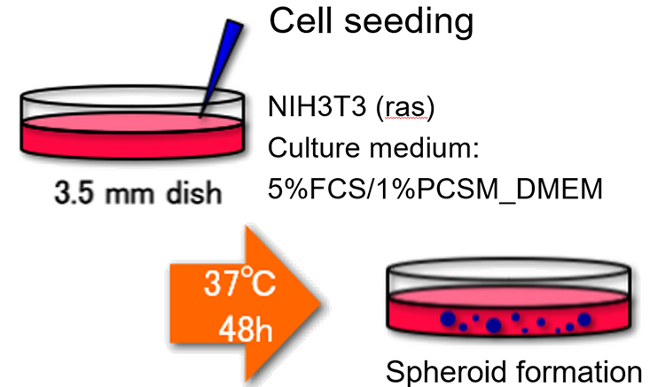 Figure1:Preparationofspheroids