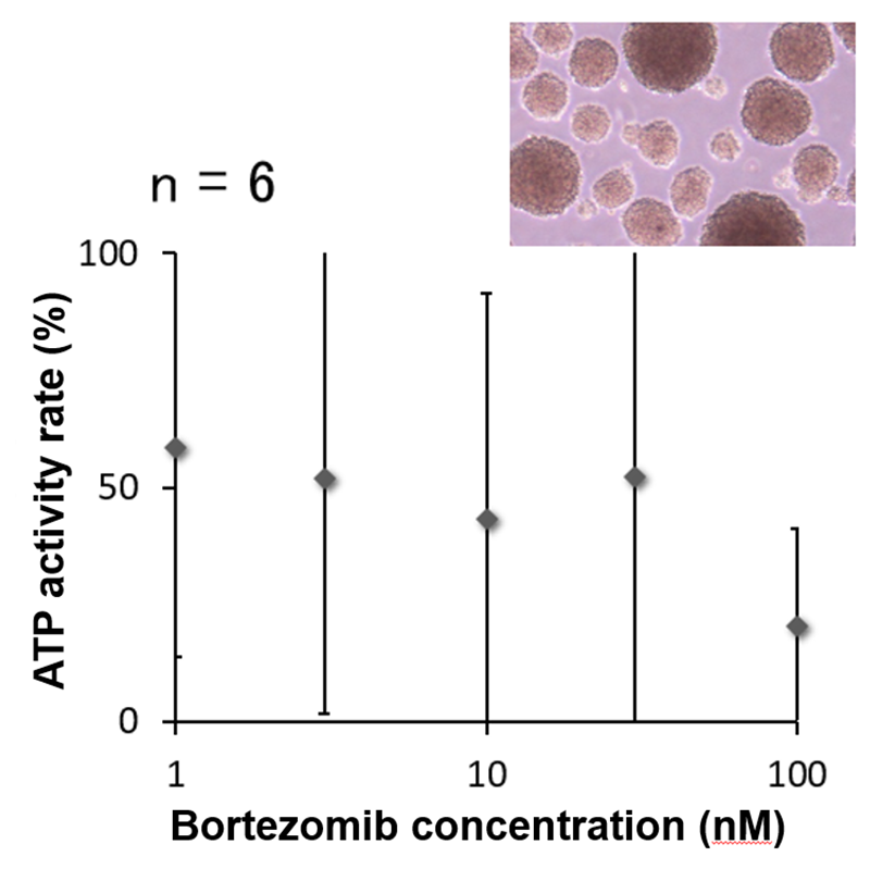 untreated-size group
