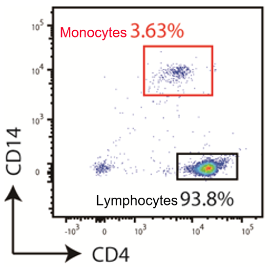 Unprocessed human PBMCs