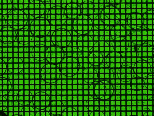 （A）CELLNETTAでメッシュ上に捕捉されたビーズメッシュサイズ40 µm
