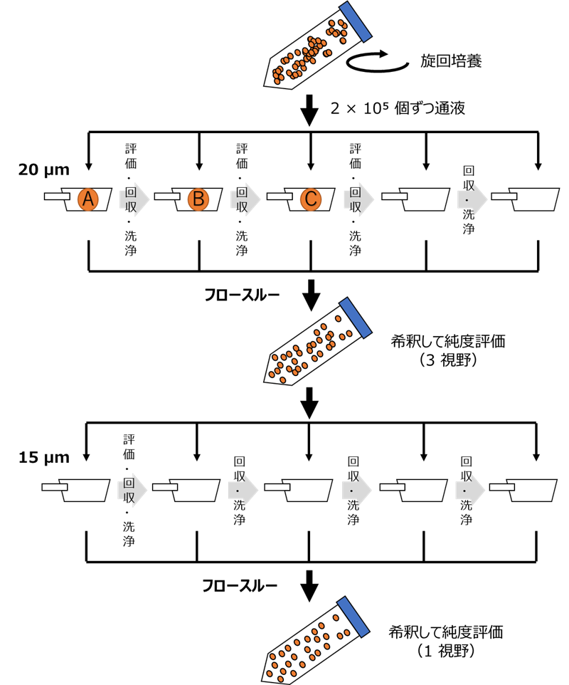 図1:CELLNETTAによる操作手順