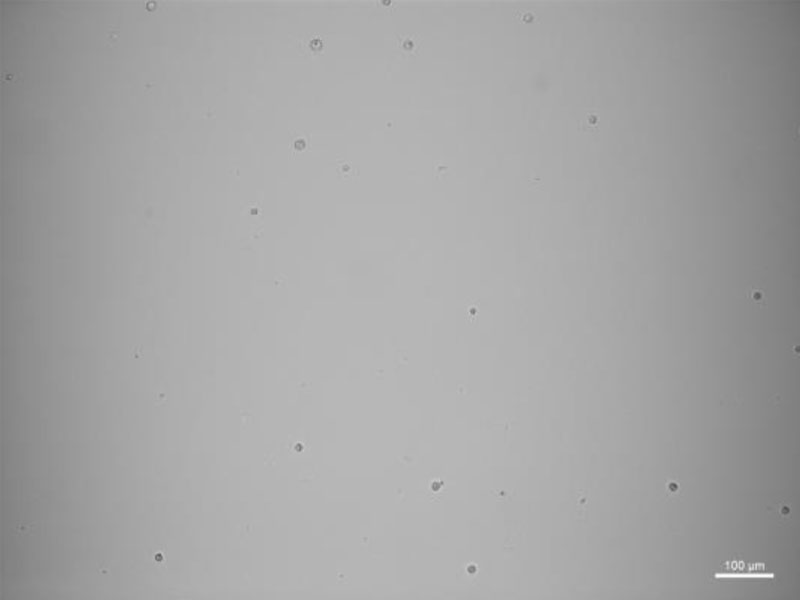 図3:Fraction C