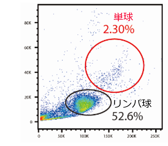 メッシュサイズCELLNETTAのグラフ