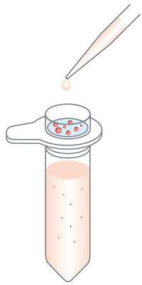 ②細胞混濁液を注ぐ